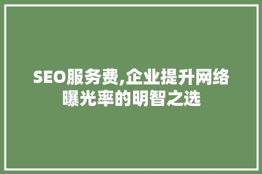 SEO服务费,企业提升网络曝光率的明智之选