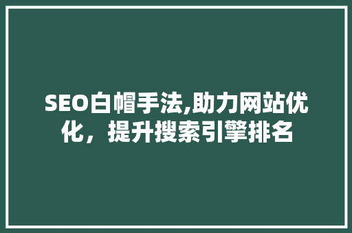 SEO白帽手法,助力网站优化，提升搜索引擎排名