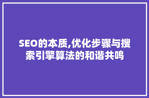 SEO的本质,优化步骤与搜索引擎算法的和谐共鸣