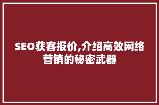 SEO获客报价,介绍高效网络营销的秘密武器