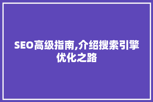 SEO高级指南,介绍搜索引擎优化之路