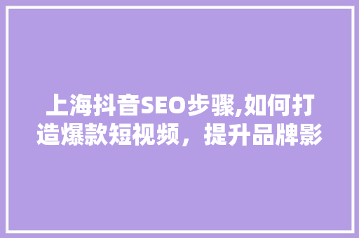 上海抖音SEO步骤,如何打造爆款短视频，提升品牌影响力