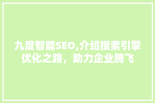 九度智能SEO,介绍搜索引擎优化之路，助力企业腾飞