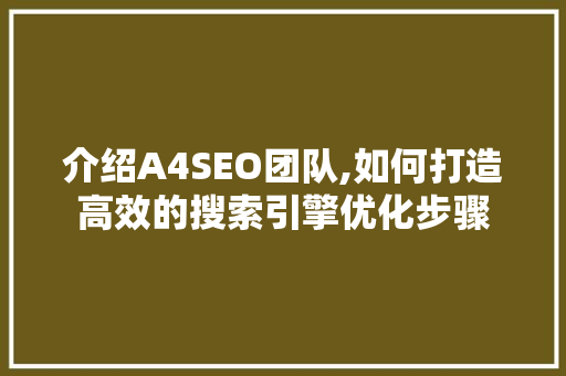 介绍A4SEO团队,如何打造高效的搜索引擎优化步骤