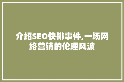 介绍SEO快排事件,一场网络营销的伦理风波