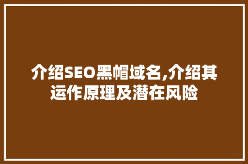 介绍SEO黑帽域名,介绍其运作原理及潜在风险