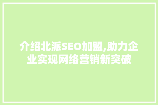 介绍北派SEO加盟,助力企业实现网络营销新突破