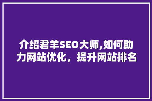 介绍君羊SEO大师,如何助力网站优化，提升网站排名