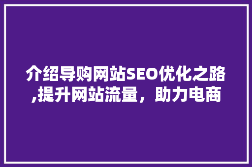 介绍导购网站SEO优化之路,提升网站流量，助力电商腾飞