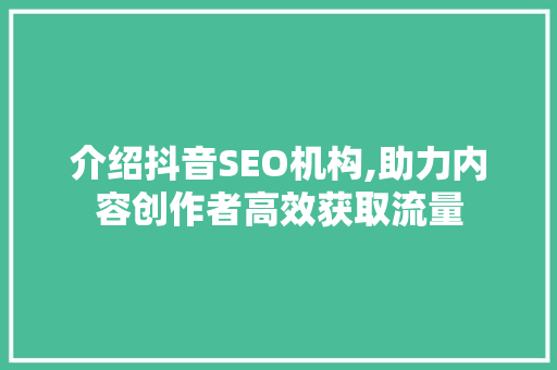 介绍抖音SEO机构,助力内容创作者高效获取流量