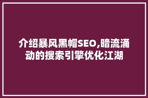 介绍暴风黑帽SEO,暗流涌动的搜索引擎优化江湖