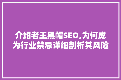 介绍老王黑帽SEO,为何成为行业禁忌详细剖析其风险与后果