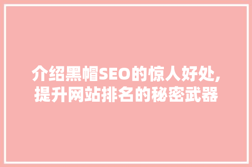 介绍黑帽SEO的惊人好处,提升网站排名的秘密武器