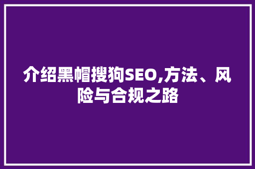 介绍黑帽搜狗SEO,方法、风险与合规之路