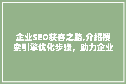 企业SEO获客之路,介绍搜索引擎优化步骤，助力企业高效转化