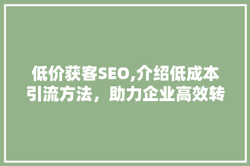 低价获客SEO,介绍低成本引流方法，助力企业高效转化