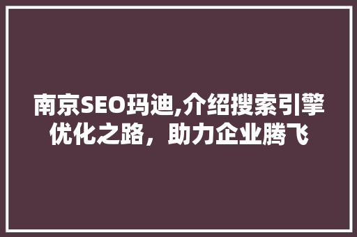 南京SEO玛迪,介绍搜索引擎优化之路，助力企业腾飞