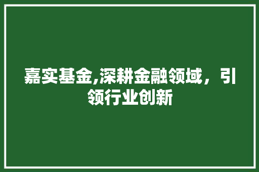 嘉实基金,深耕金融领域，引领行业创新