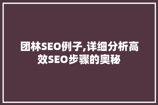 团林SEO例子,详细分析高效SEO步骤的奥秘