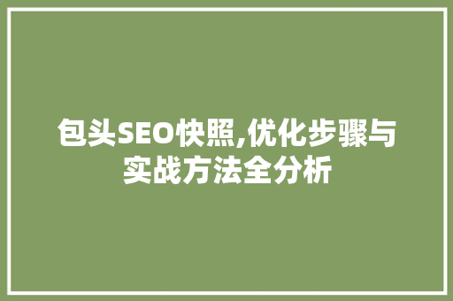 包头SEO快照,优化步骤与实战方法全分析