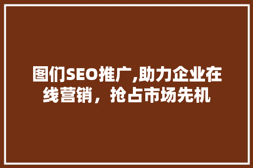 图们SEO推广,助力企业在线营销，抢占市场先机