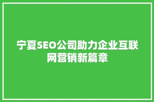 宁夏SEO公司助力企业互联网营销新篇章