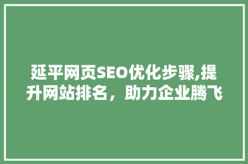延平网页SEO优化步骤,提升网站排名，助力企业腾飞