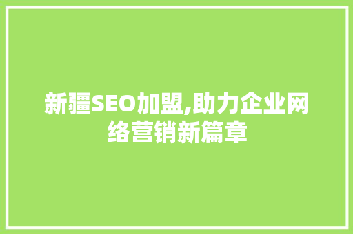 新疆SEO加盟,助力企业网络营销新篇章