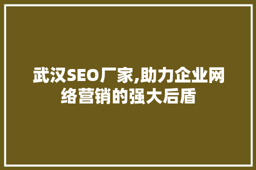 武汉SEO厂家,助力企业网络营销的强大后盾