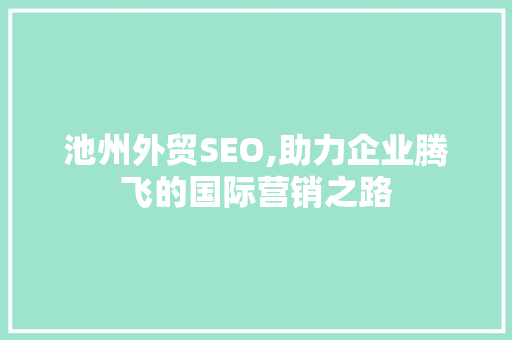 池州外贸SEO,助力企业腾飞的国际营销之路