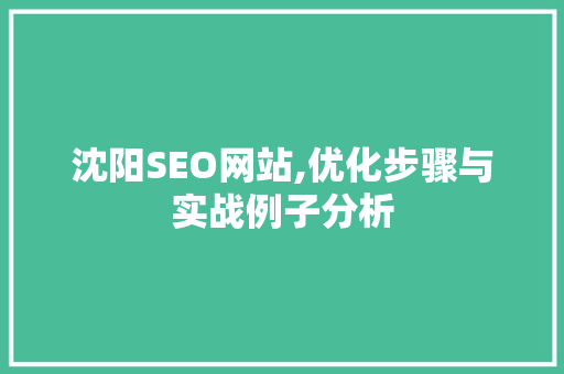 沈阳SEO网站,优化步骤与实战例子分析