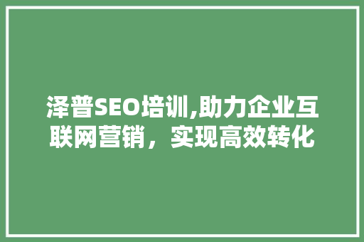 泽普SEO培训,助力企业互联网营销，实现高效转化