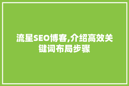 流星SEO博客,介绍高效关键词布局步骤