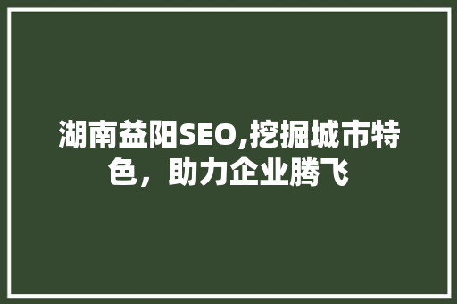 湖南益阳SEO,挖掘城市特色，助力企业腾飞