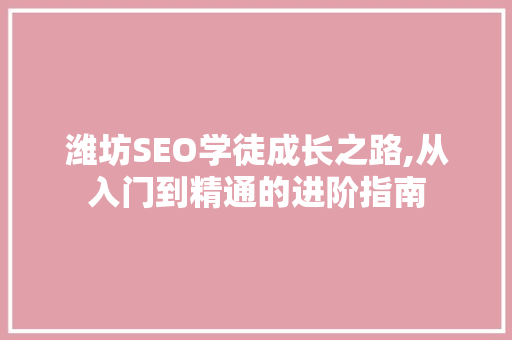 潍坊SEO学徒成长之路,从入门到精通的进阶指南