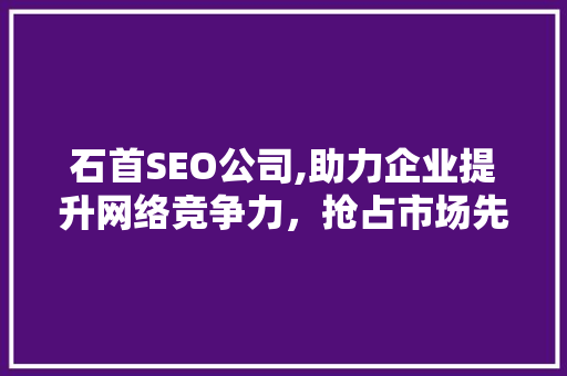 石首SEO公司,助力企业提升网络竞争力，抢占市场先机