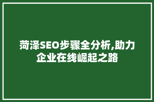 菏泽SEO步骤全分析,助力企业在线崛起之路