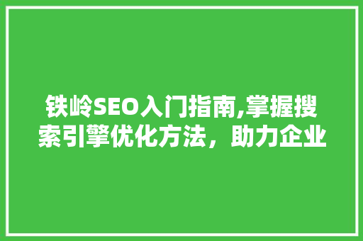 铁岭SEO入门指南,掌握搜索引擎优化方法，助力企业网站提升排名