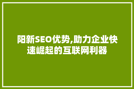 阳新SEO优势,助力企业快速崛起的互联网利器