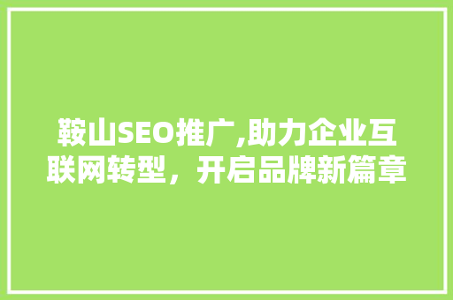 鞍山SEO推广,助力企业互联网转型，开启品牌新篇章