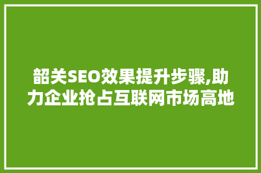 韶关SEO效果提升步骤,助力企业抢占互联网市场高地