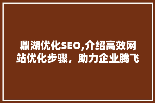 鼎湖优化SEO,介绍高效网站优化步骤，助力企业腾飞