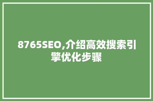 8765SEO,介绍高效搜索引擎优化步骤