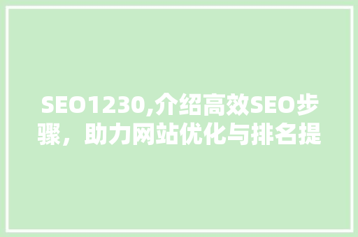 SEO1230,介绍高效SEO步骤，助力网站优化与排名提升
