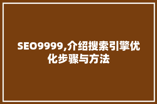 SEO9999,介绍搜索引擎优化步骤与方法