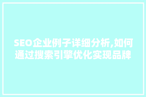 SEO企业例子详细分析,如何通过搜索引擎优化实现品牌崛起