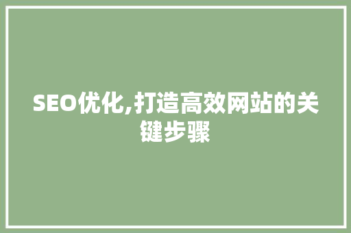 SEO优化,打造高效网站的关键步骤