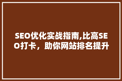 SEO优化实战指南,比高SEO打卡，助你网站排名提升之路