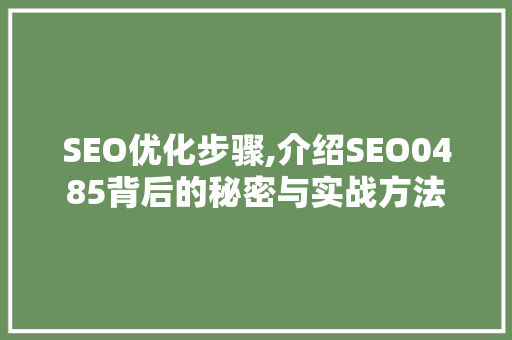 SEO优化步骤,介绍SEO0485背后的秘密与实战方法