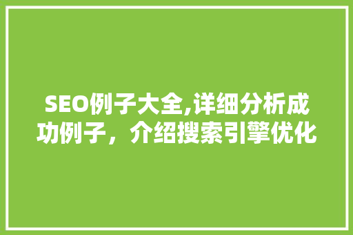 SEO例子大全,详细分析成功例子，介绍搜索引擎优化之路